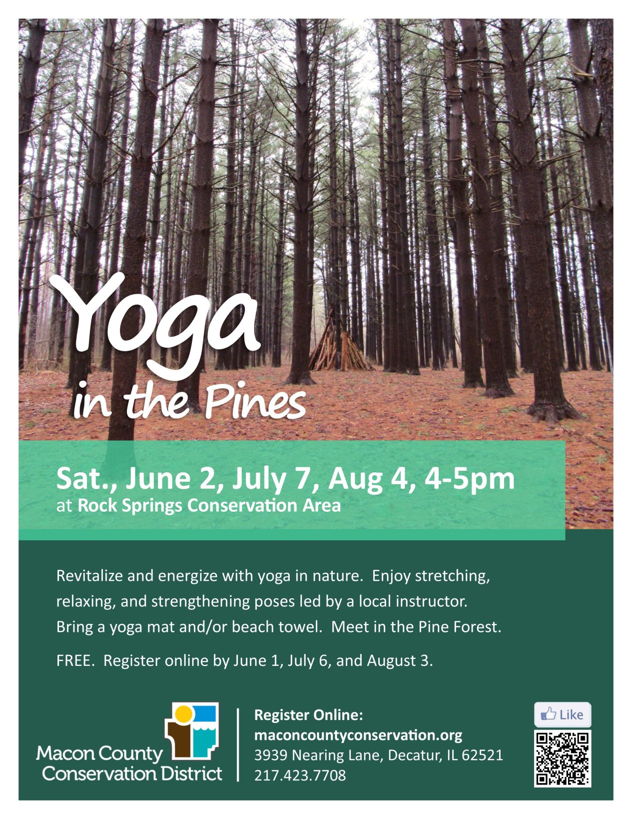 Yoga in the Pines
